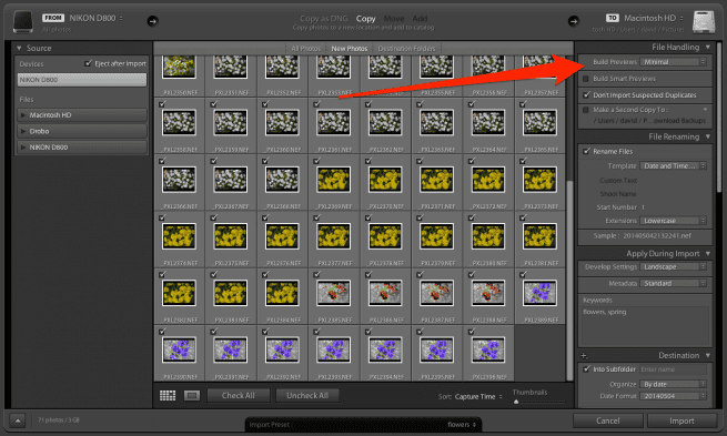 Lightroom import Build Previews dropdown