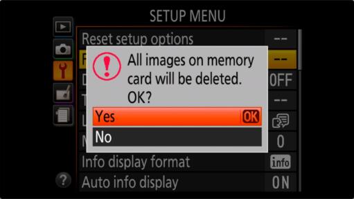 Nikon D3500 Setup Menu Screenshot: Format Memory Card Confirmation