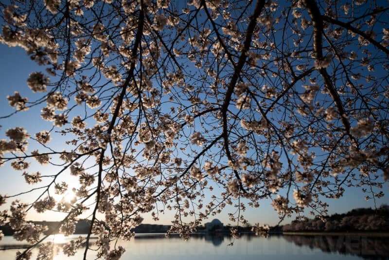 Sigma 12-24mm f/2.8 Wide-Angle Zoom Lens Sample Image