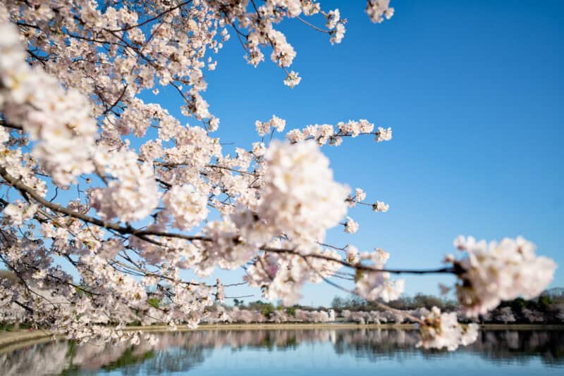 Sigma 12-24mm f/2.8 Wide-Angle Zoom Lens Sample Image