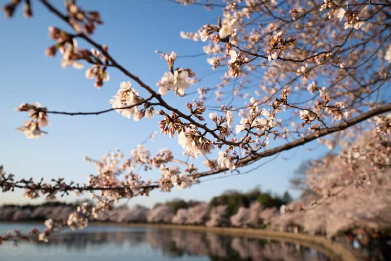 Sigma 12-24mm f/2.8 Wide-Angle Zoom Lens Sample Image
