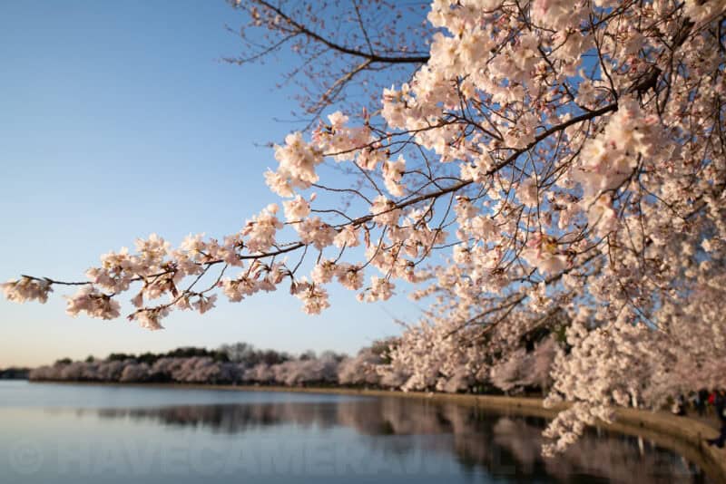 Sigma 12-24mm f/2.8 Wide-Angle Zoom Lens Sample Image