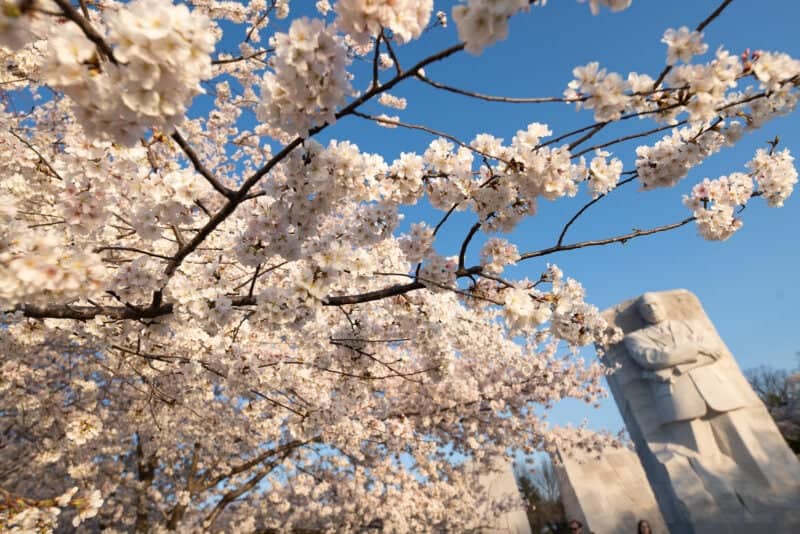 Sigma 12-24mm f/2.8 Wide-Angle Zoom Lens Sample Image
