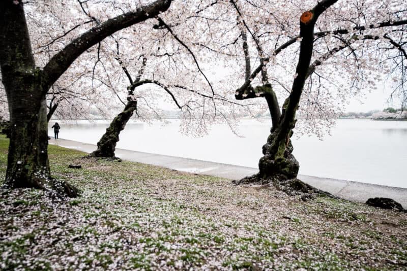 Sigma 12-24mm f/2.8 Wide-Angle Zoom Lens Sample Image