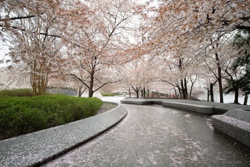 Sigma 12-24mm f/2.8 Wide-Angle Zoom Lens Sample Image