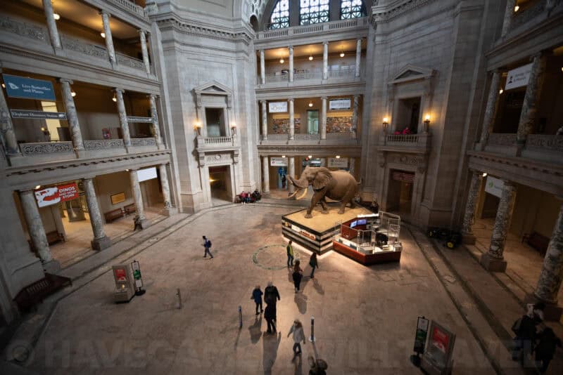 Sigma 12-24mm f/2.8 Wide-Angle Zoom Lens Sample Image
