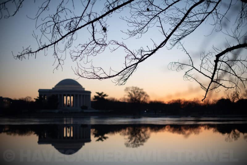 Washington DC Cherry Blossoms - February 9, 2022