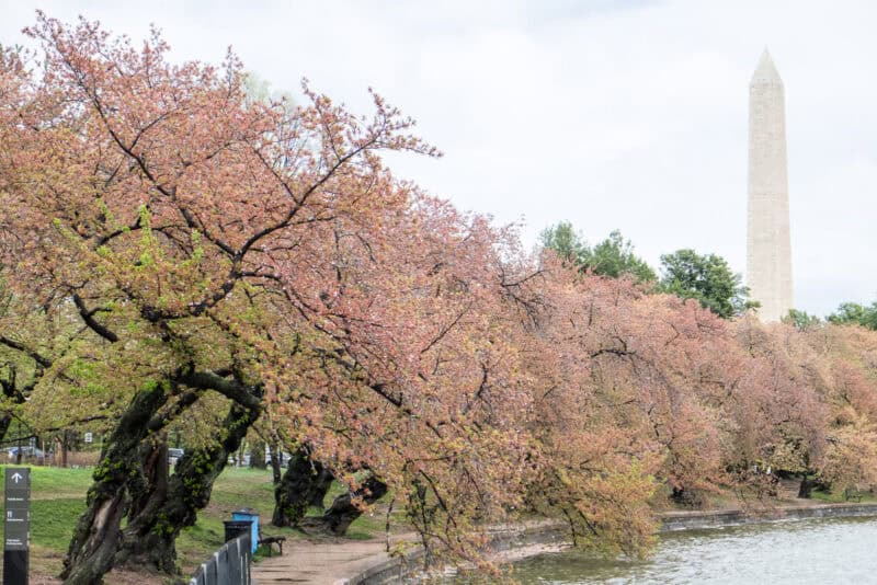Fujifilm X-T1 Mirrorless Camera Sample Image