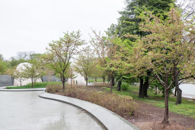 Fujifilm X-T1 Mirrorless Camera Sample Image