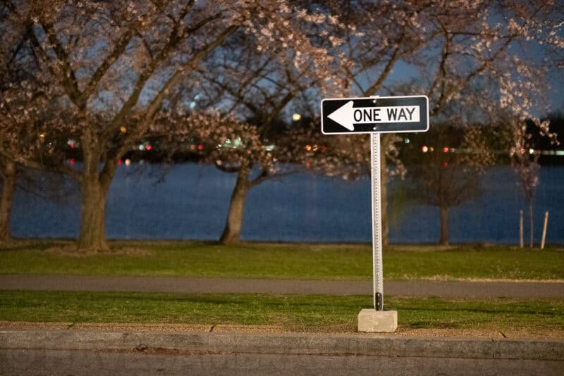 One Way street sign beside cherry blossom trees and a river at dusk