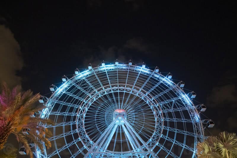 The Wheel at ICON Park lit in blue against a night sky, framed by palm trees