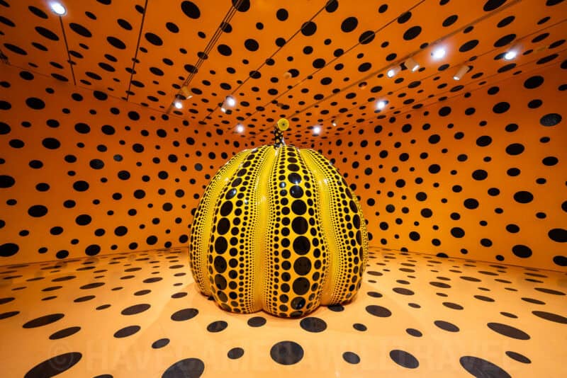 Yayoi Kusama-style pumpkin sculpture covered in dot patterns inside an orange polka-dot room