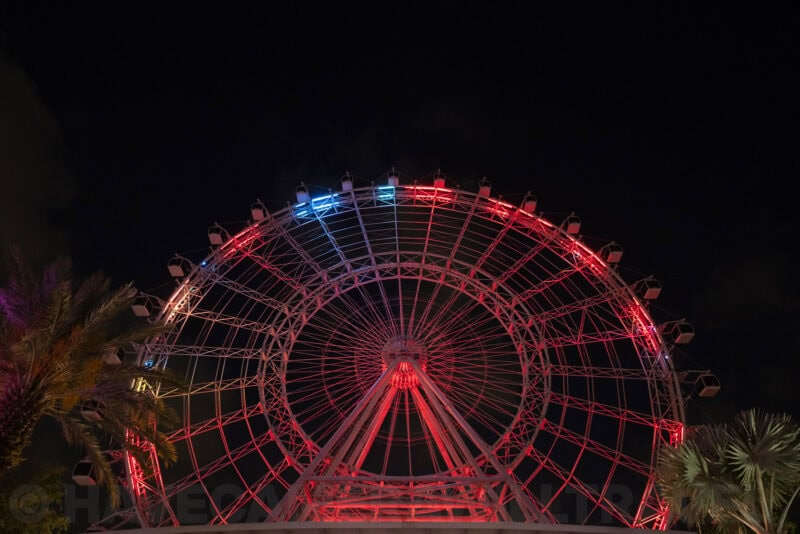 Orlando Eye observation wheel lit up red against a black night sky, framed by palm trees