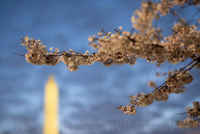 Fujifilm XF 50mm f/1.0 R WR lens sample image