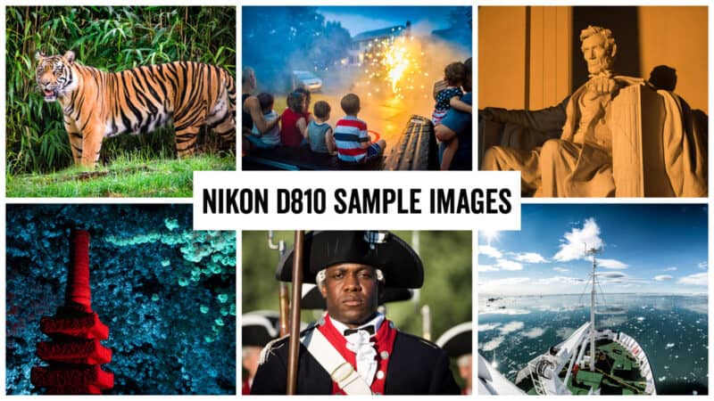 Nikon D810 Sample Images Header