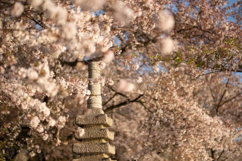 Fujifilm XF 50mm f/1.0 R WR lens sample image