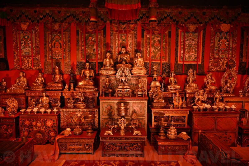 Nikon Z8 High ISO Sample Image