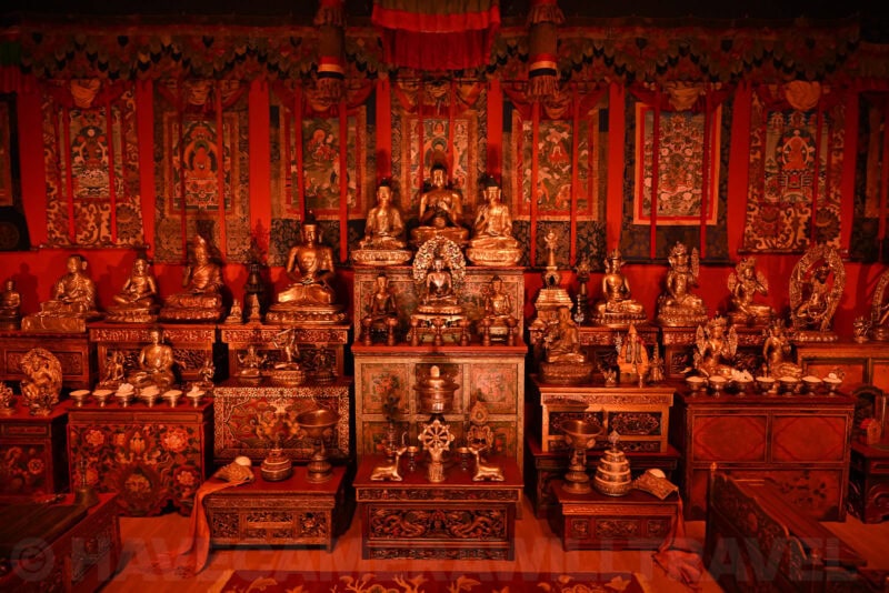 Nikon Z8 High ISO Sample Image