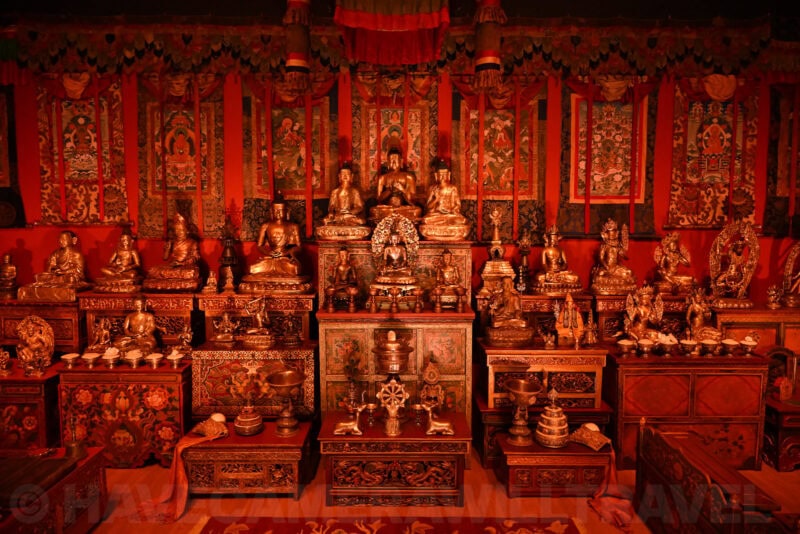 Nikon Z8 High ISO Sample Image