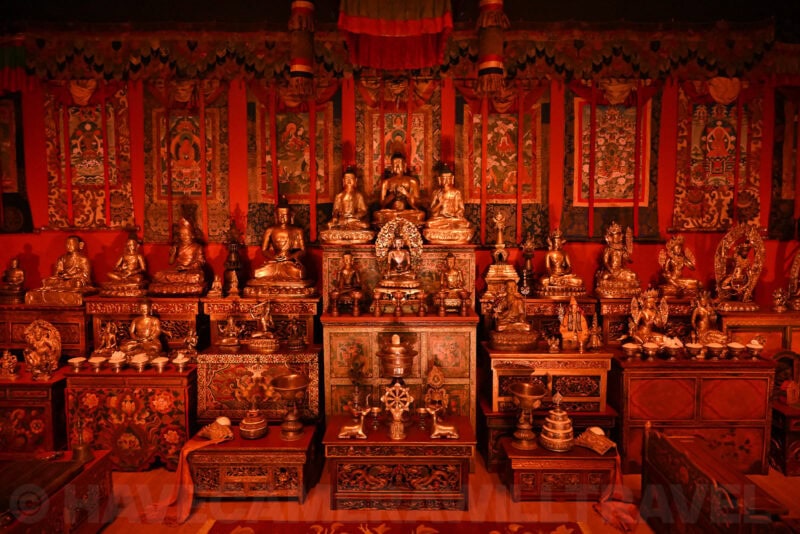 Nikon Z8 High ISO Sample Image