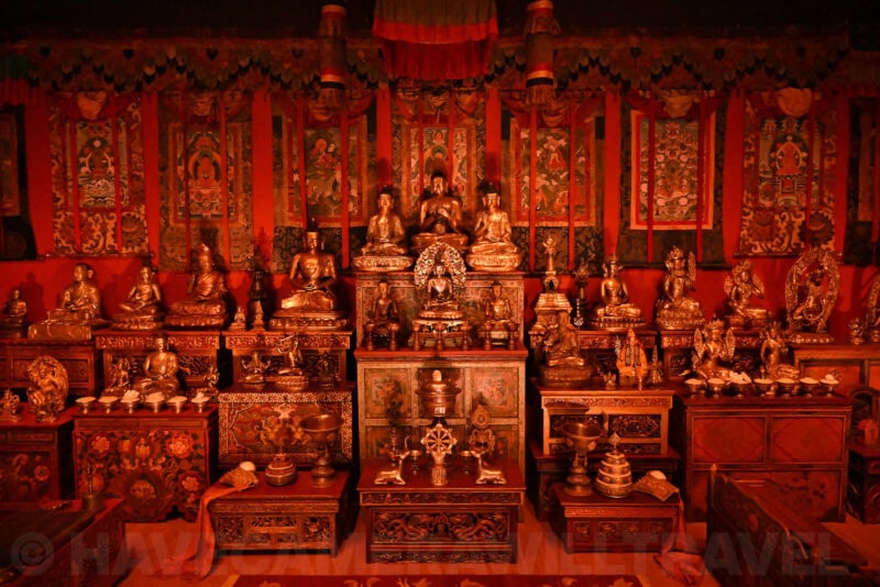 Nikon Z8 High ISO Sample Image