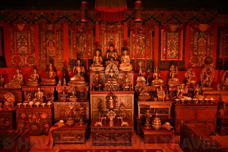 Nikon Z8 High ISO Sample Image