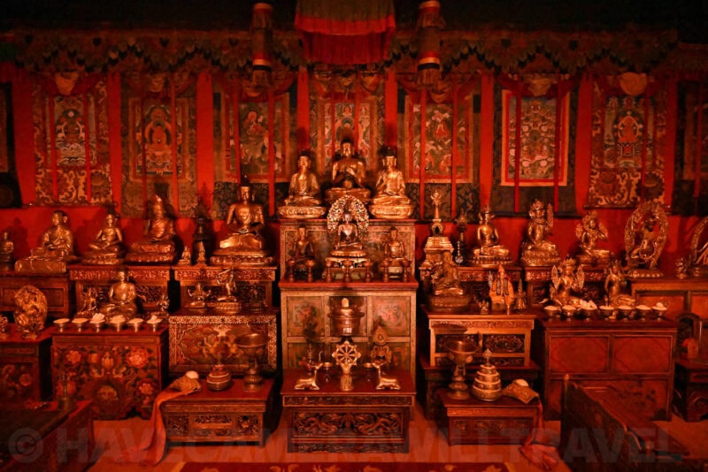 Nikon Z8 High ISO Sample Image