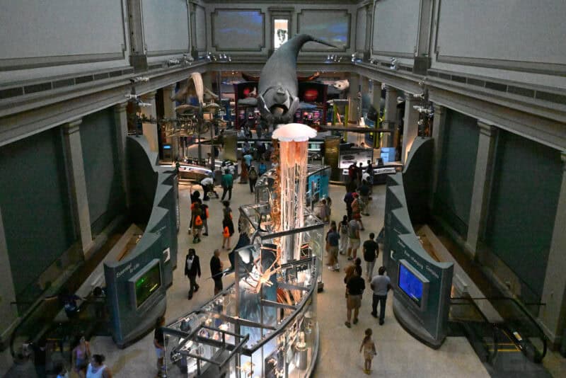 Nikon Z8 High ISO Sample Image