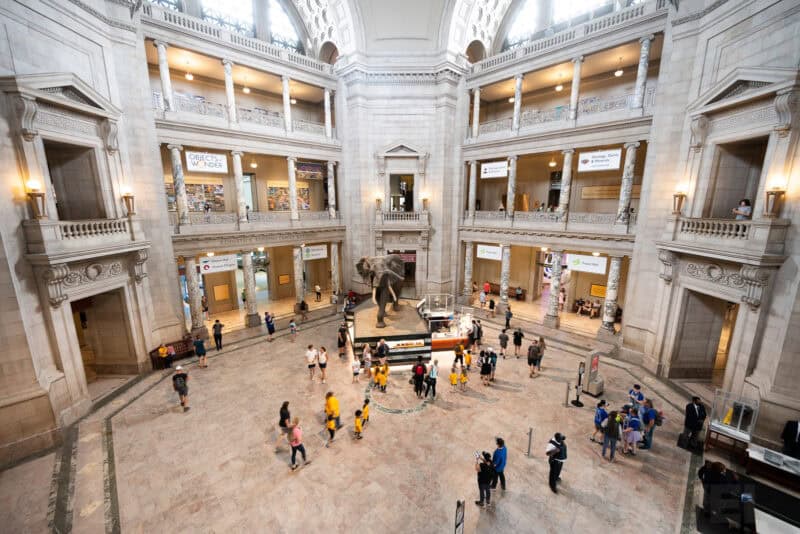 Wide-angle view of the Smithsonian Natural History Museum's rotunda, taxidermy elephant, and tiered marble galleries