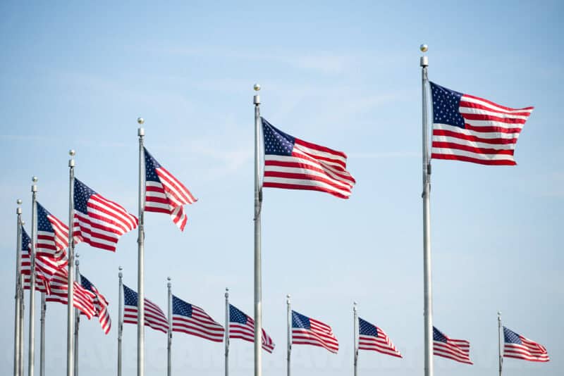 Rows of American flags on poles rippling against a pale blue sky