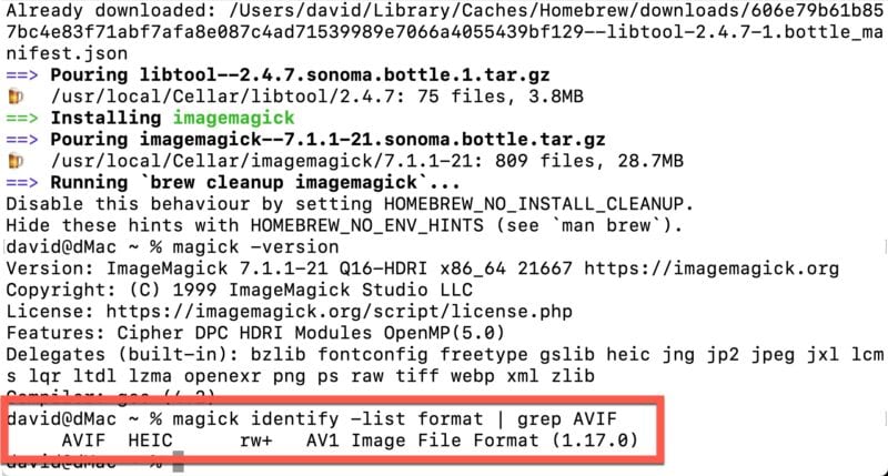 Terminal window showing ImageMagick installation output and a magick identify command confirming AVIF format support