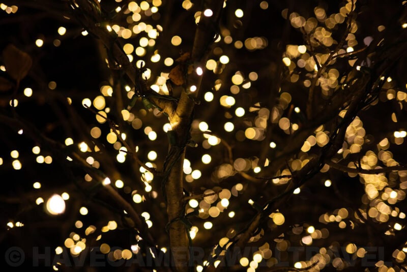 Nikon Z 40mm f2.8 Sample Image. Photo by David Coleman - havecamerawilltravel.com
