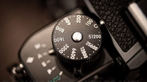 Nikon Z f. Photo by David Coleman - havecamerawilltravel.com