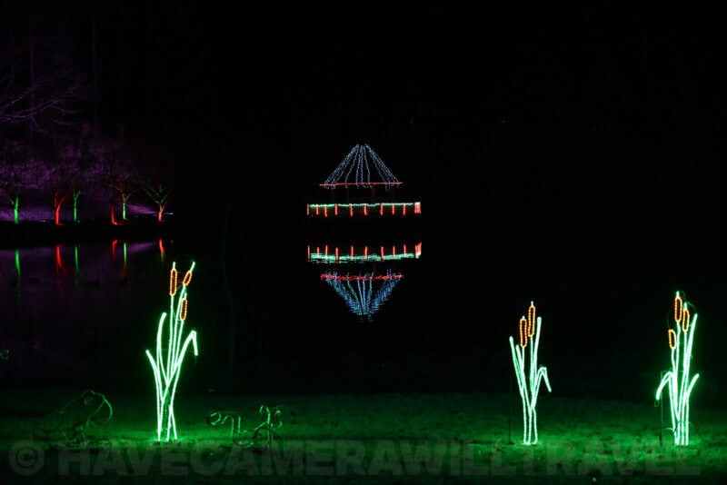 Illuminated cattail and gazebo light displays reflecting on a dark pond at a holiday light show