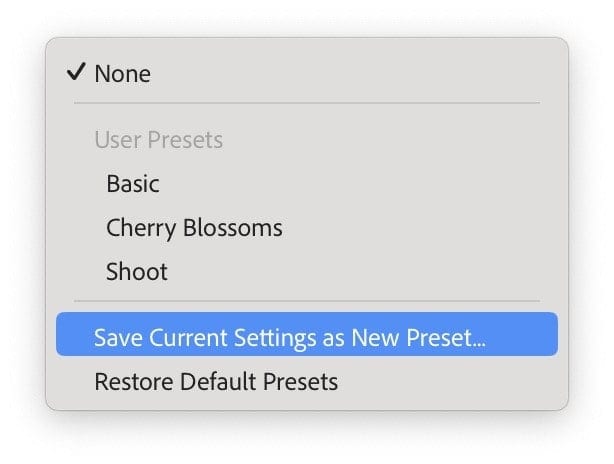 Screenshot of Lightroom Classic Import Metadata Preset for Applying Copyright IPTC Information