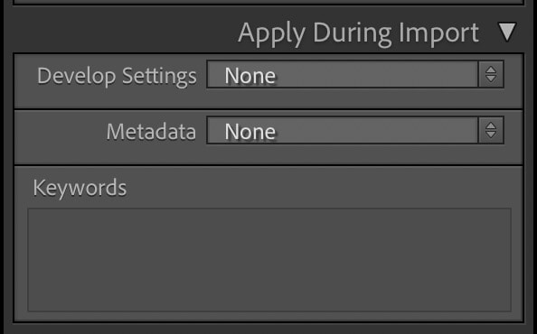 Screenshot of Lightroom Classic Import Metadata Preset for Applying Copyright IPTC Information