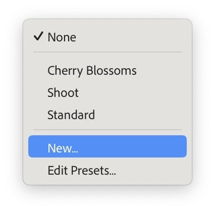 Screenshot of Lightroom Classic Import Metadata Preset for Applying Copyright IPTC Information