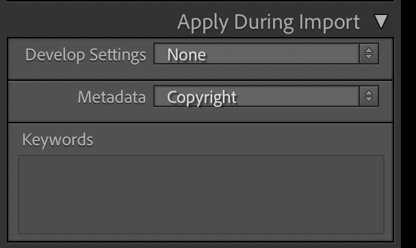 Screenshot of Lightroom Classic Import Metadata Preset for Applying Copyright IPTC Information