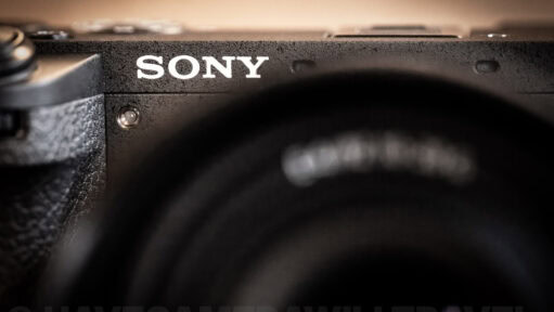 Sony a6700. Photo by David Coleman - havecamerawilltravel.com