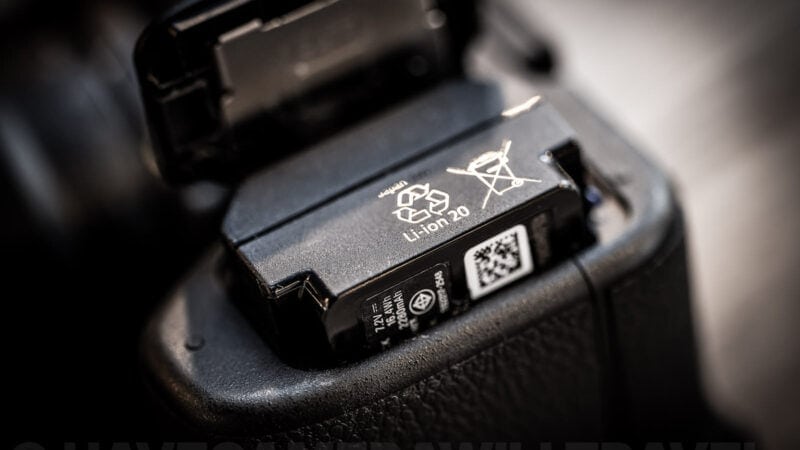 Sony a6700. Photo by David Coleman - havecamerawilltravel.com