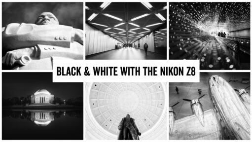 Nikon Z8 Black and White