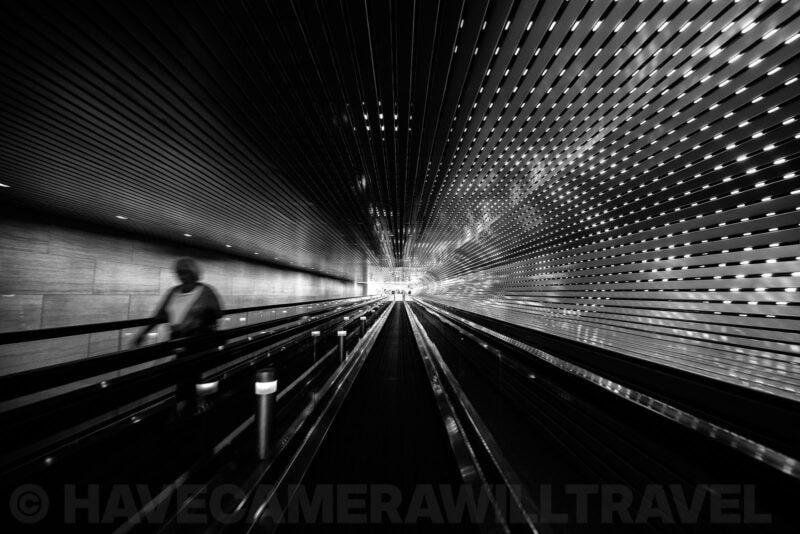 Nikon Z8 Black and White Photo. Photo by David Coleman - havecamerawilltravel.com