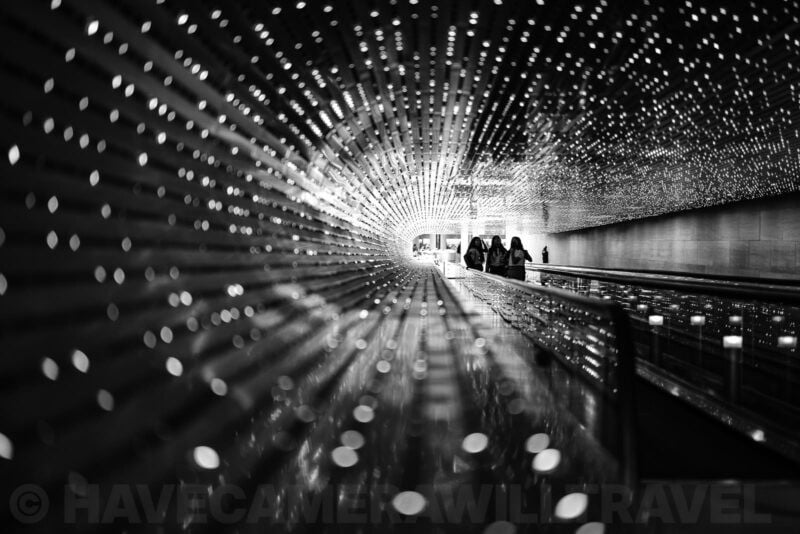 Nikon Z8 Black and White Photo. Photo by David Coleman - havecamerawilltravel.com