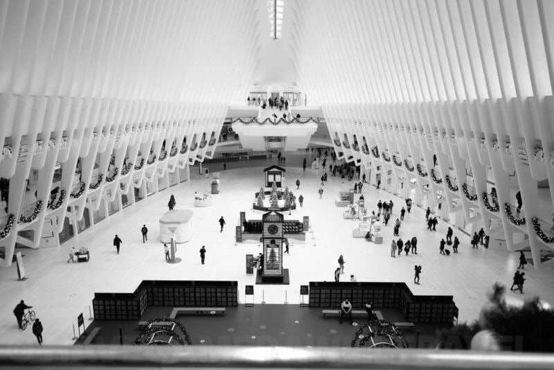 Nikon Z8 Black and White Photo. Photo by David Coleman - havecamerawilltravel.com