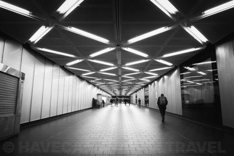 Nikon Z8 Black and White Photo. Photo by David Coleman - havecamerawilltravel.com