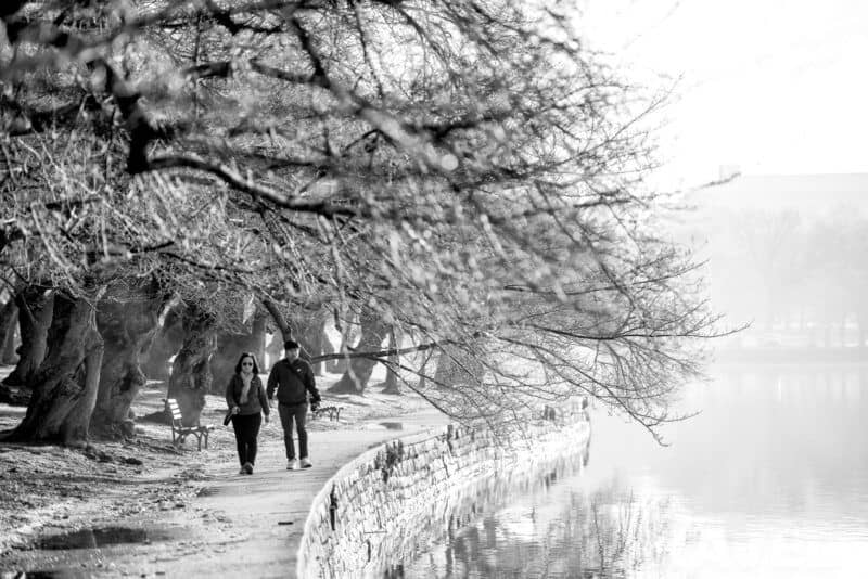Nikon Z8 Black and White Photo. Photo by David Coleman - havecamerawilltravel.com