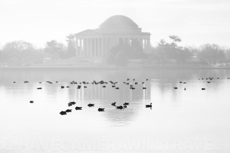 Nikon Z8 Black and White Photo. Photo by David Coleman - havecamerawilltravel.com