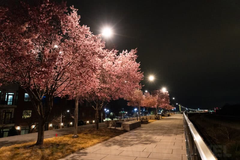 Sony a6700 Sample Image. Photo by David Coleman - havecamerawilltravel.com