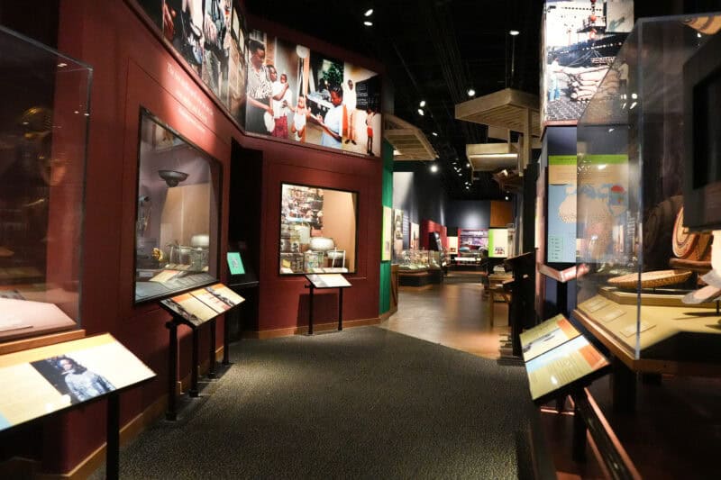 Museum exhibit corridor with illustrated wall panels and glass display cases along a dark hallway