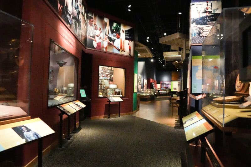 Dim museum exhibit corridor lined with illustrated panels and glass display cases